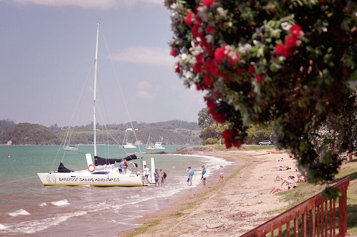 Board the boat at Paihia Beach